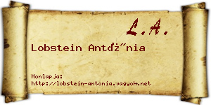 Lobstein Antónia névjegykártya